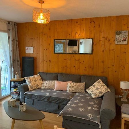 Appartement Tt Confort Au Coeur Des Montagnes Avec Vue Sur Les Montagnes Wifi Luz-Saint-Sauveur Exteriör bild