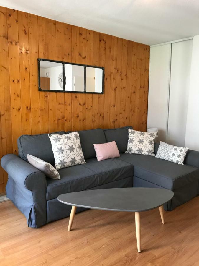 Appartement Tt Confort Au Coeur Des Montagnes Avec Vue Sur Les Montagnes Wifi Luz-Saint-Sauveur Exteriör bild
