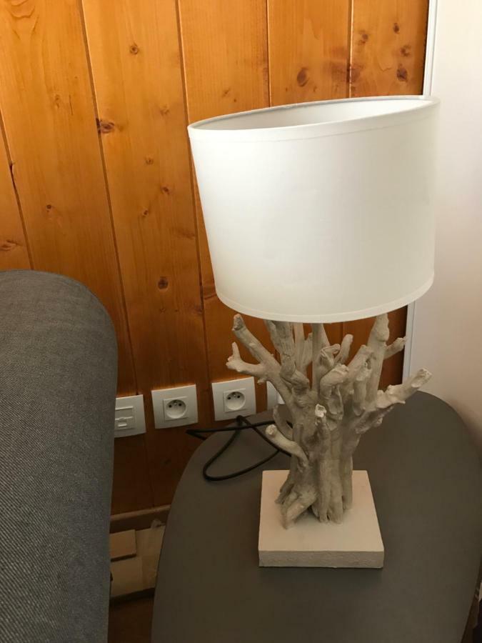 Appartement Tt Confort Au Coeur Des Montagnes Avec Vue Sur Les Montagnes Wifi Luz-Saint-Sauveur Exteriör bild